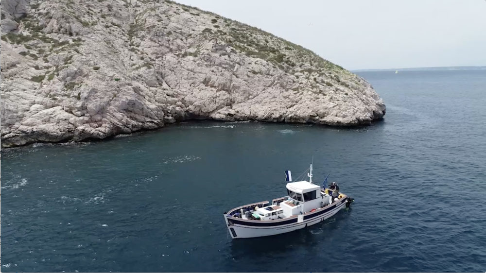 Capture d&rsquo;écran 2018-07-31 08.17.22