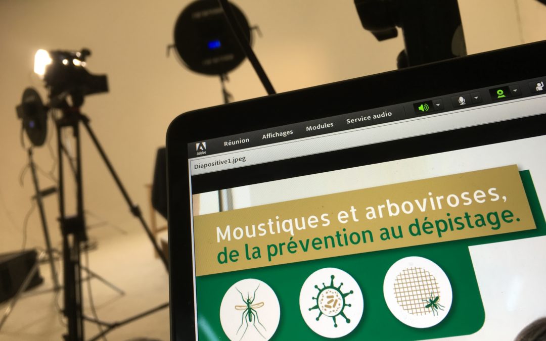 Un webinaire sur les Moustiques pour le CRES-PACA