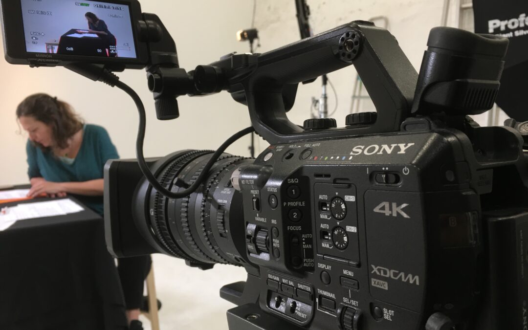 webinaire cres-paca moustiques3