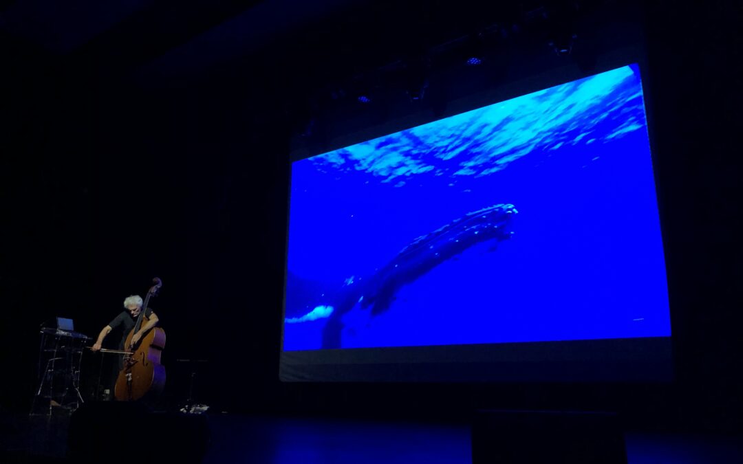 GIS3M Concert Contre-basse Baleine