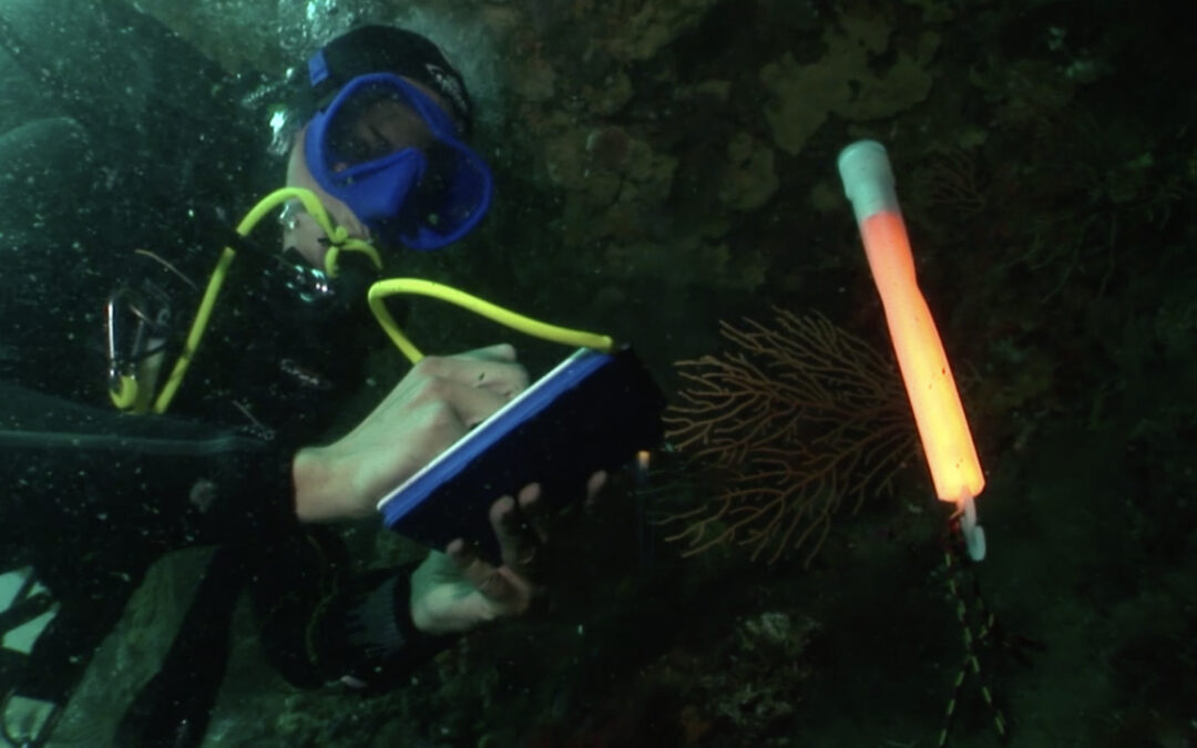 Capture d&rsquo;écran 2018-07-31 08.15.11