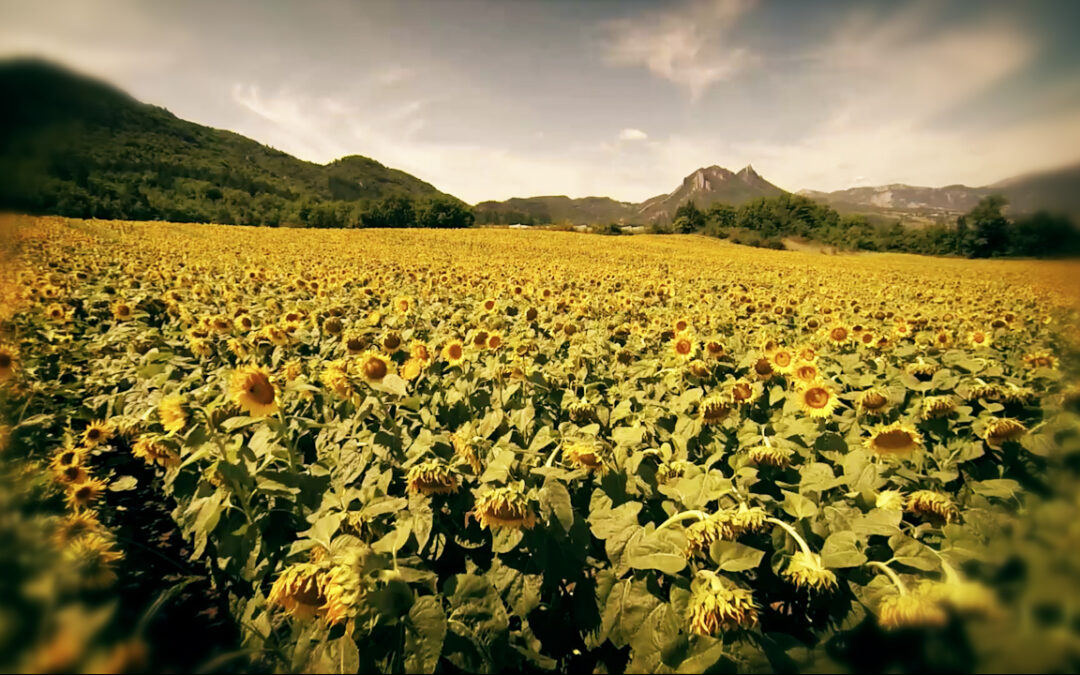 Paysage Sisteron