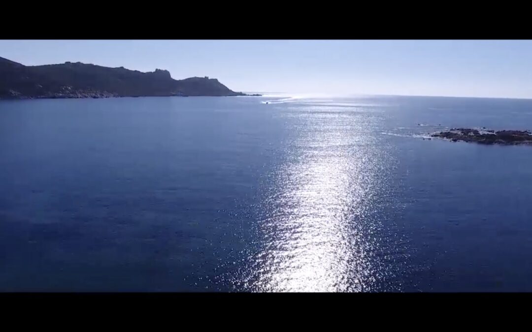 capture image fixe intro video