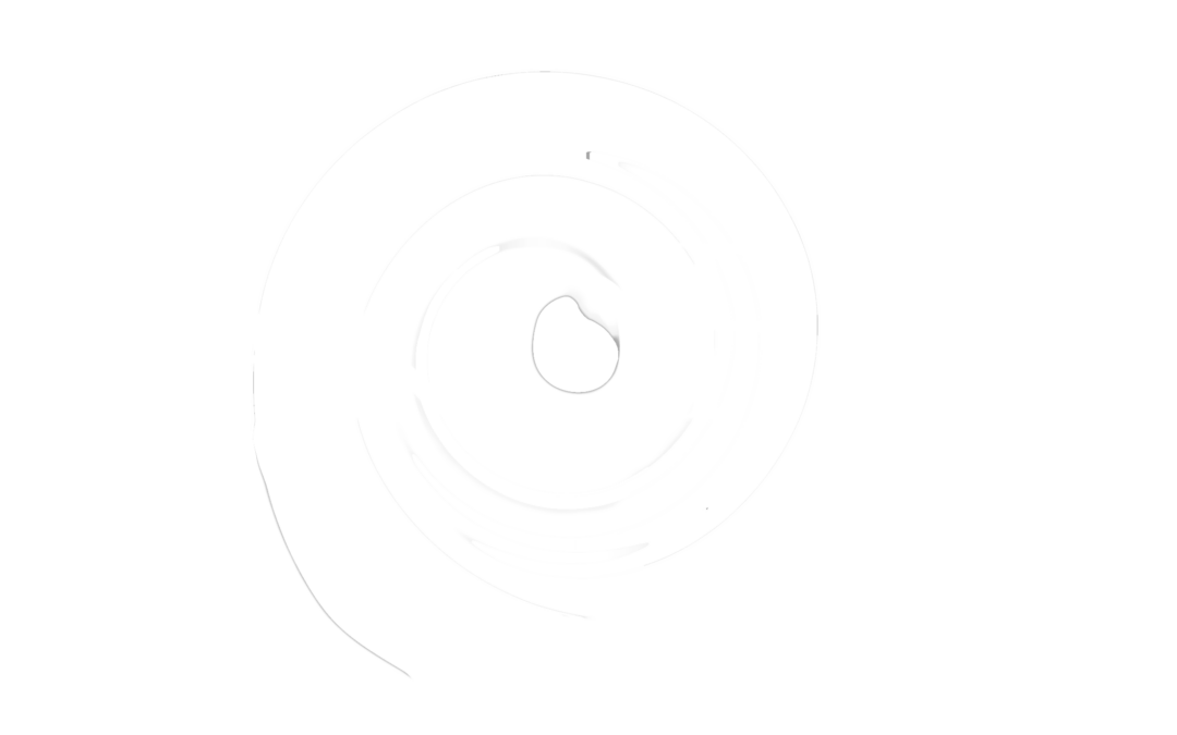 logo dakofilm blanc transparent